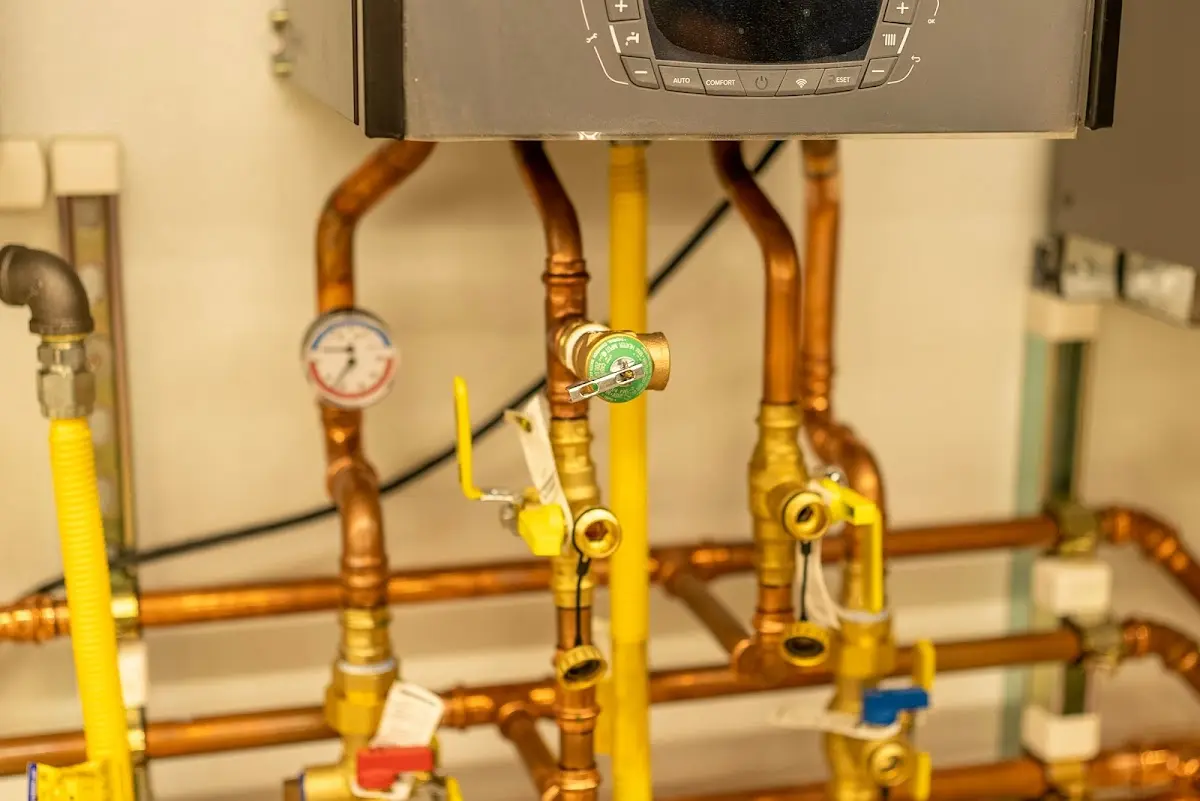 Licensed technician providing Emergency Plumbing for a homeowner in Albertville